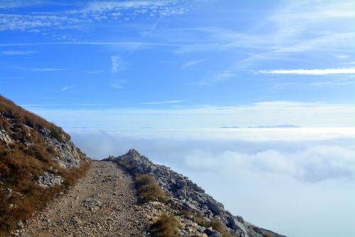 mountain trail fog