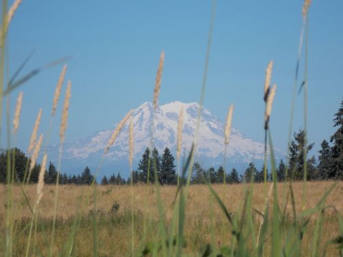 mountain field landscape