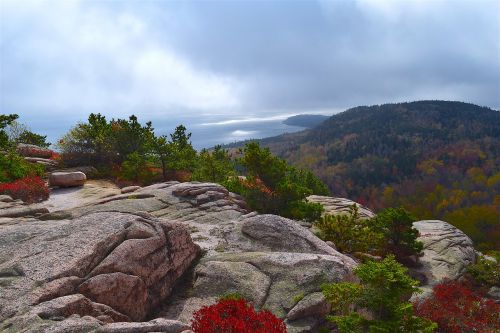 mountain trees rocks