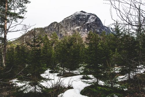 mountain norway trees