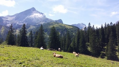 mountain nature landscape