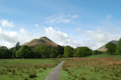 mountain green scenic