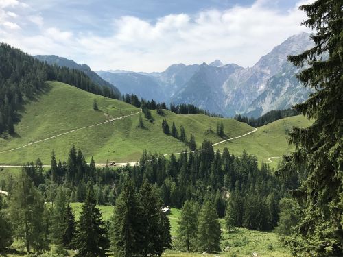 mountain wood landscape