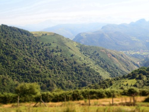 mountain  vegetation  nature