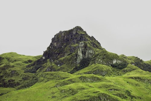 mountain  forest  landscape