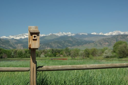 mountain  vista  birdhouse