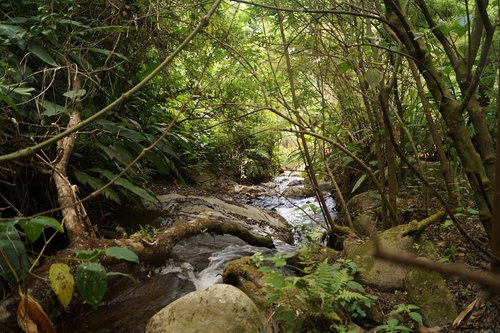 mountain  nature  landscape