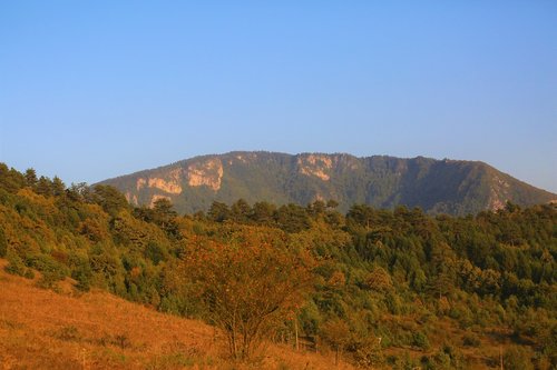 mountain  landscape  forest