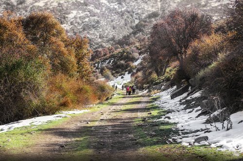 mountain  snow  hiking