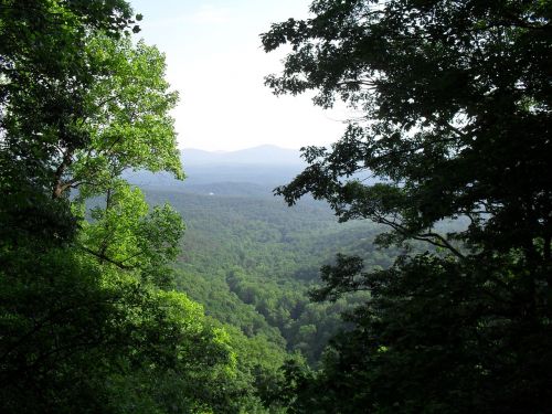 mountain trees valley