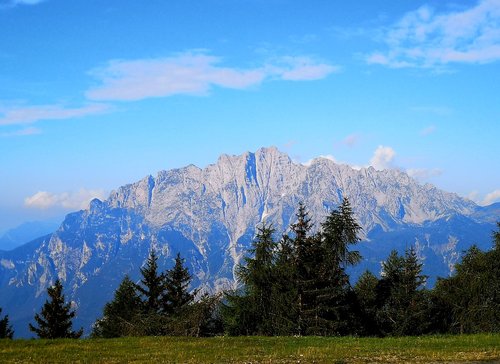 mountain  trees  summer