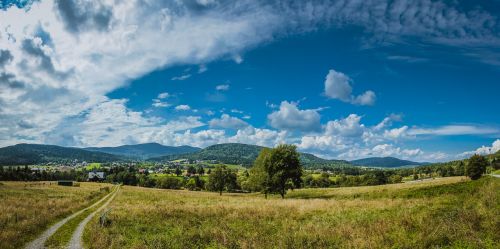 mountain panorama meadow