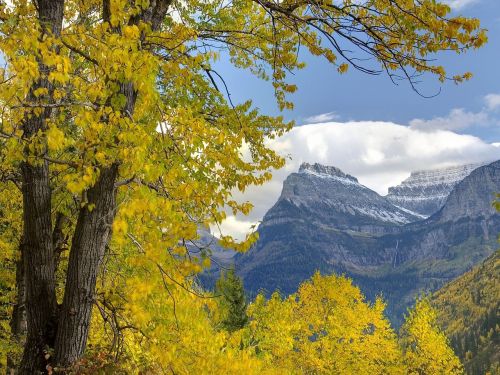 mountain trees clouds