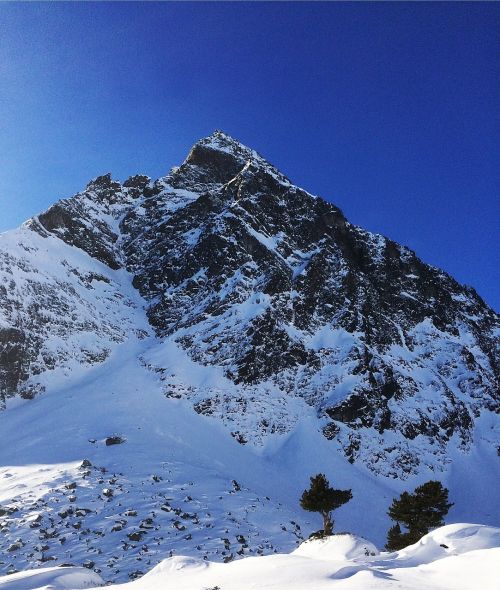 mountain montafon silvretta