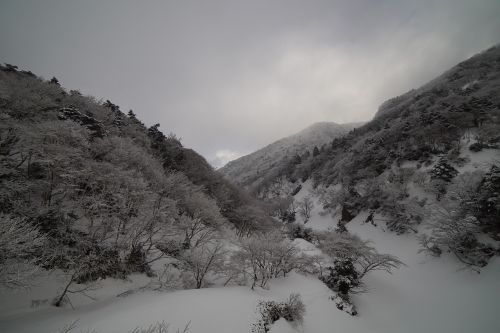 mountain halla snow