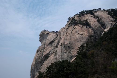 mountain the scenery sky