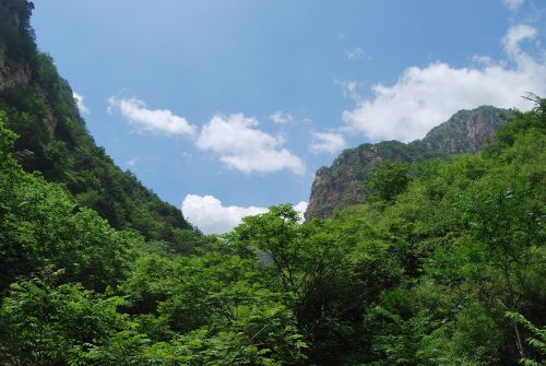 mountain blue sky woods