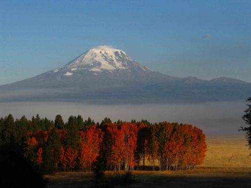 mountain foliage landscape