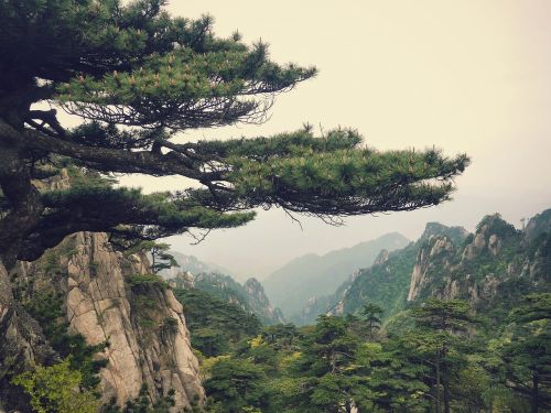 mountain landscape china