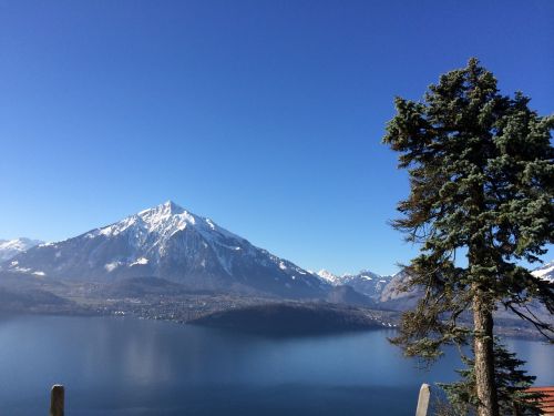 mountain lake thun bernese oberland