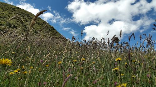 mountain grass sky