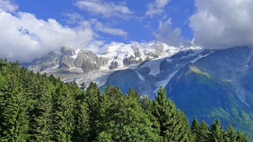 mountain snow meadow