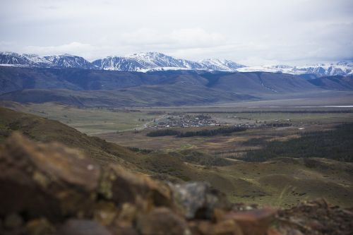 mountain altai kurai steppe russia