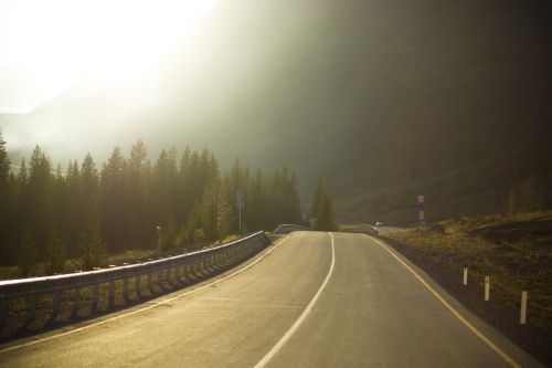 mountain altai russia summer