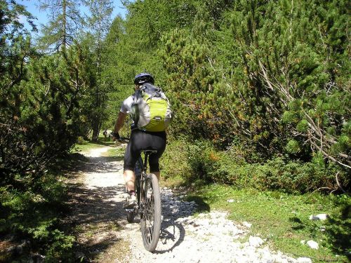 mountain bike bike transalp