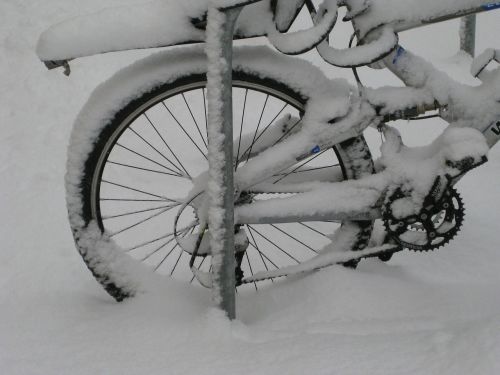 mountain bike bike rear wheel