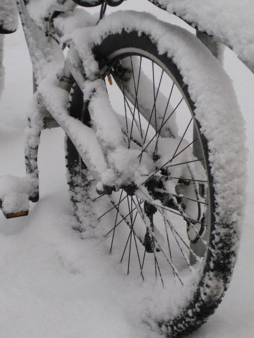 mountain bike bike rear wheel