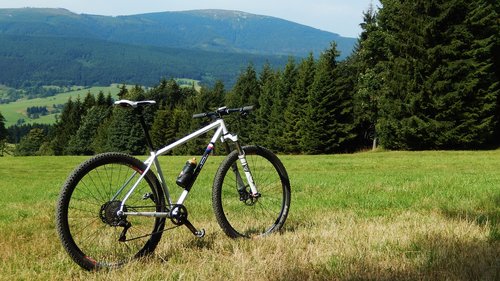 mountain bike  shimano  xtr