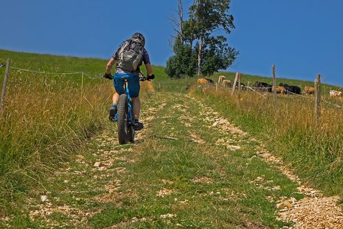 mountain bike  trail  bike