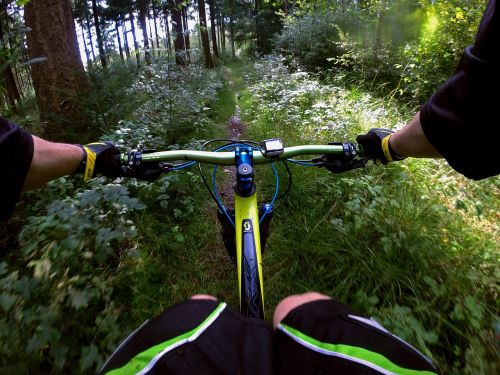 mountain bike sport forest