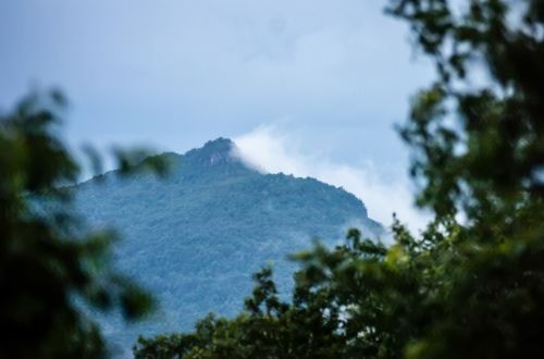 Mountain Fog