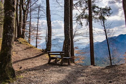 mountain forests mountains view