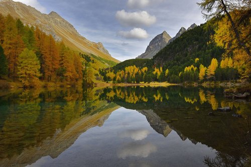 mountain lake  albula valley  fall colors