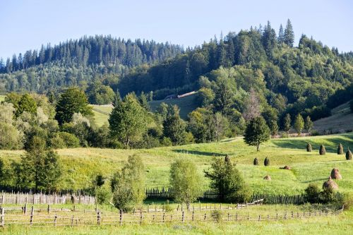 mountain landscape green beautiful