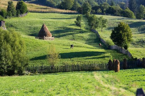 mountain landscape green country