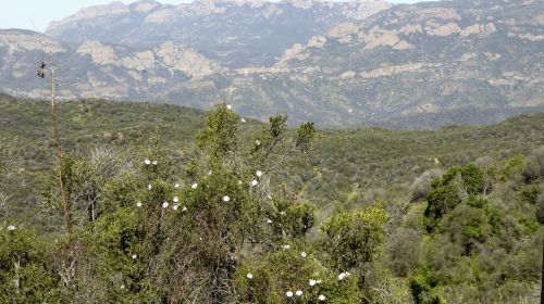 Mountain Landscape