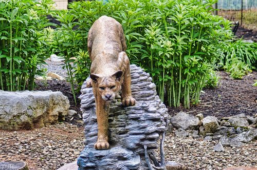 mountain lion sculpture  art  mountain lion