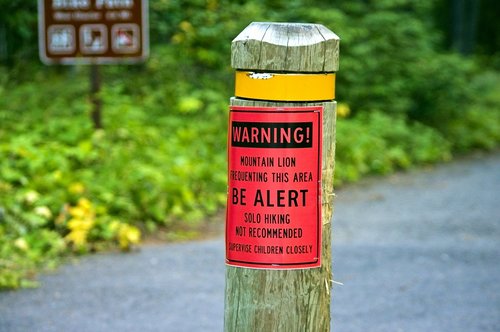 mountain lion warning  sign  warning