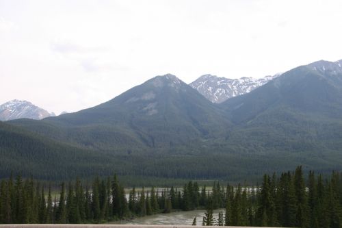 Mountain Range River Forest