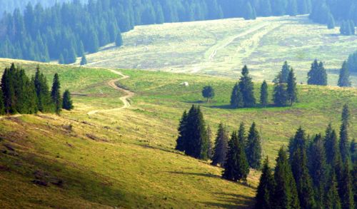 Mountain Scene