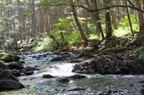 Mountain Stream