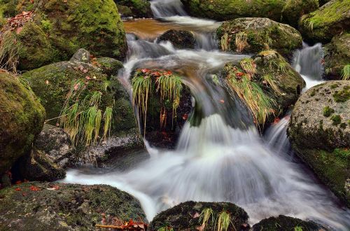 mountain stream water nature