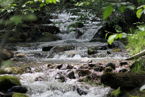 mountain stream flowing stream scenery