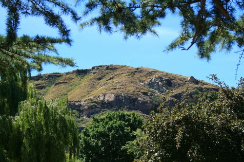 Mountain Through Trees