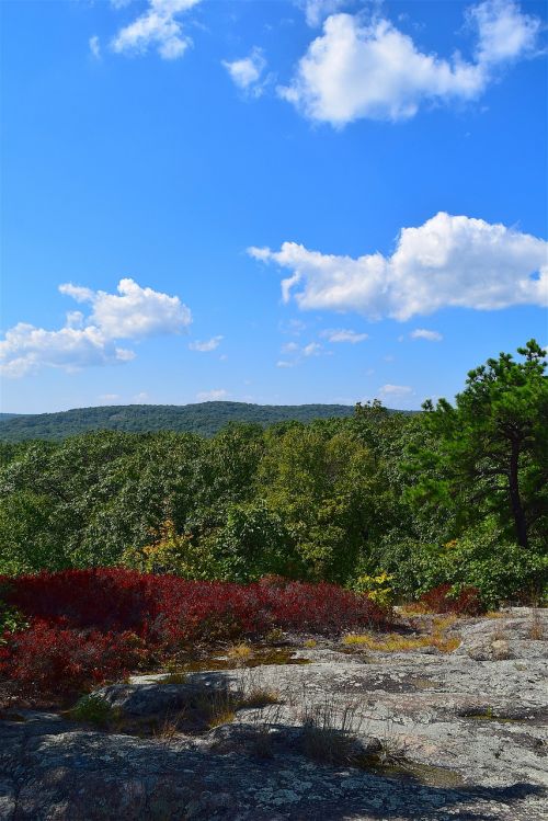 mountain top trees sky