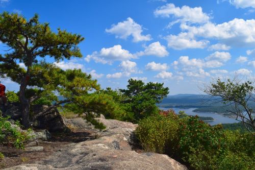 mountain view lake trees